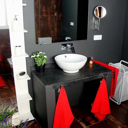 Penthouse In Historic Center Apartment