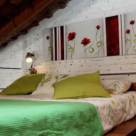 Apartment Penthouse In Historic Center *